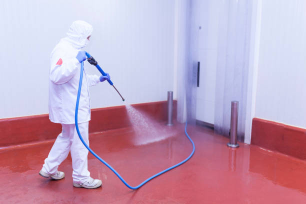 Pre-Holiday Cleaning in Woods Creek, WA